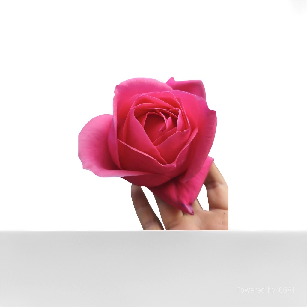 星焕永生花玫瑰花束母亲节礼物外发干花礼盒图