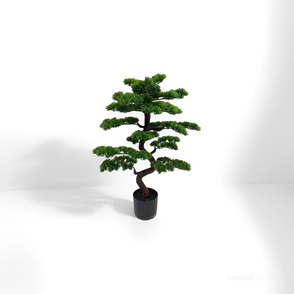 迎客松盆栽树绿植种子小绿植盆栽伴手