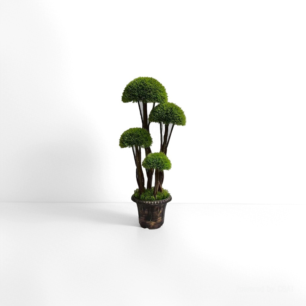绿色盆栽植物绿植种子小绿植盆栽伴手礼绿植盆栽