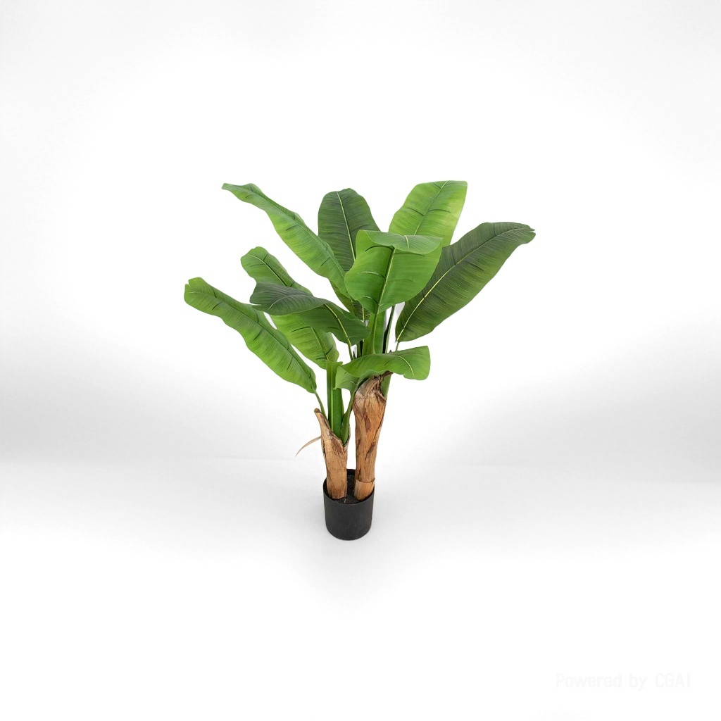 绿色植物盆栽香蕉树绿植种子小绿植盆栽伴手礼