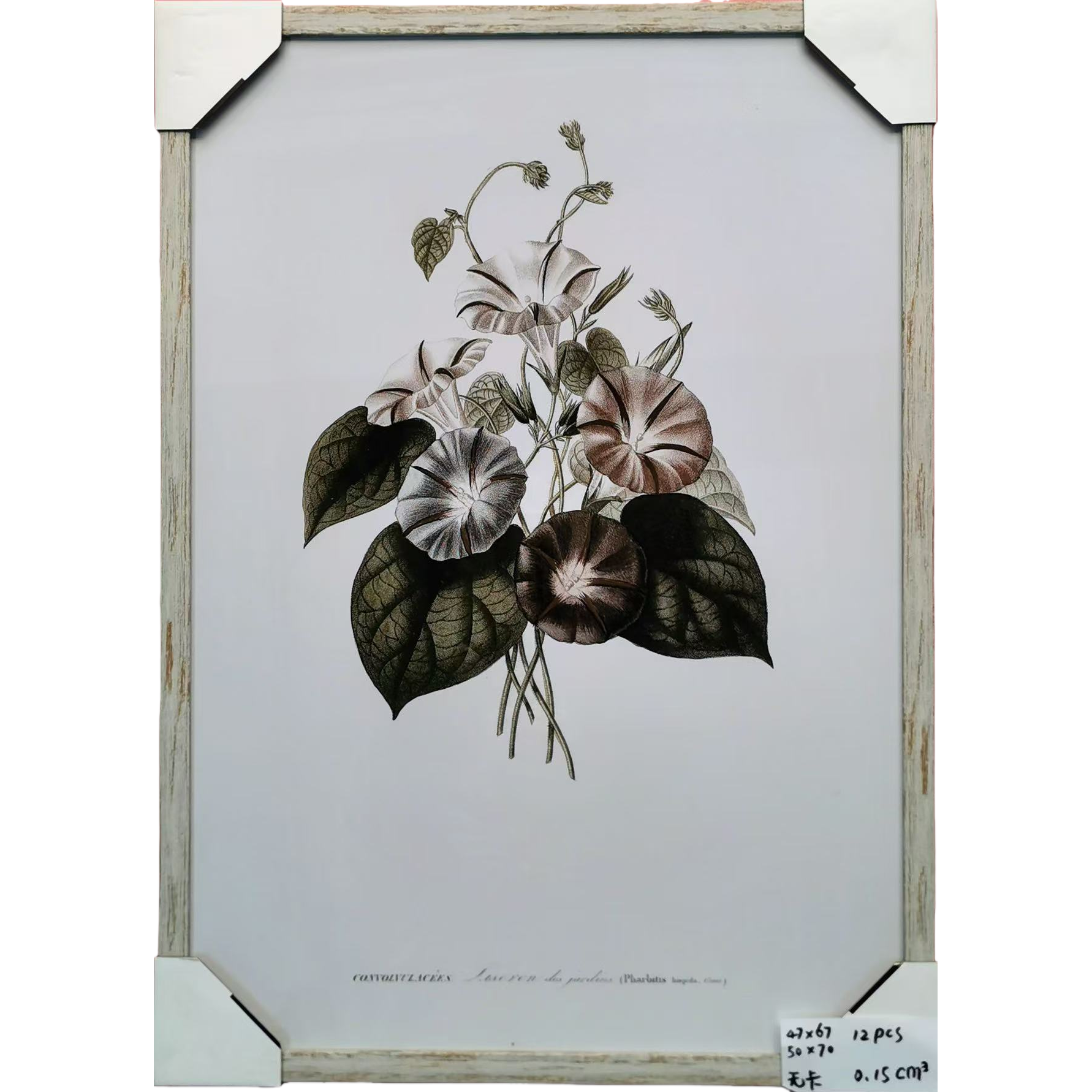 装饰画/装饰画穆斯林/挂画/毛毡装饰画/壁画挂画钻白底实物图