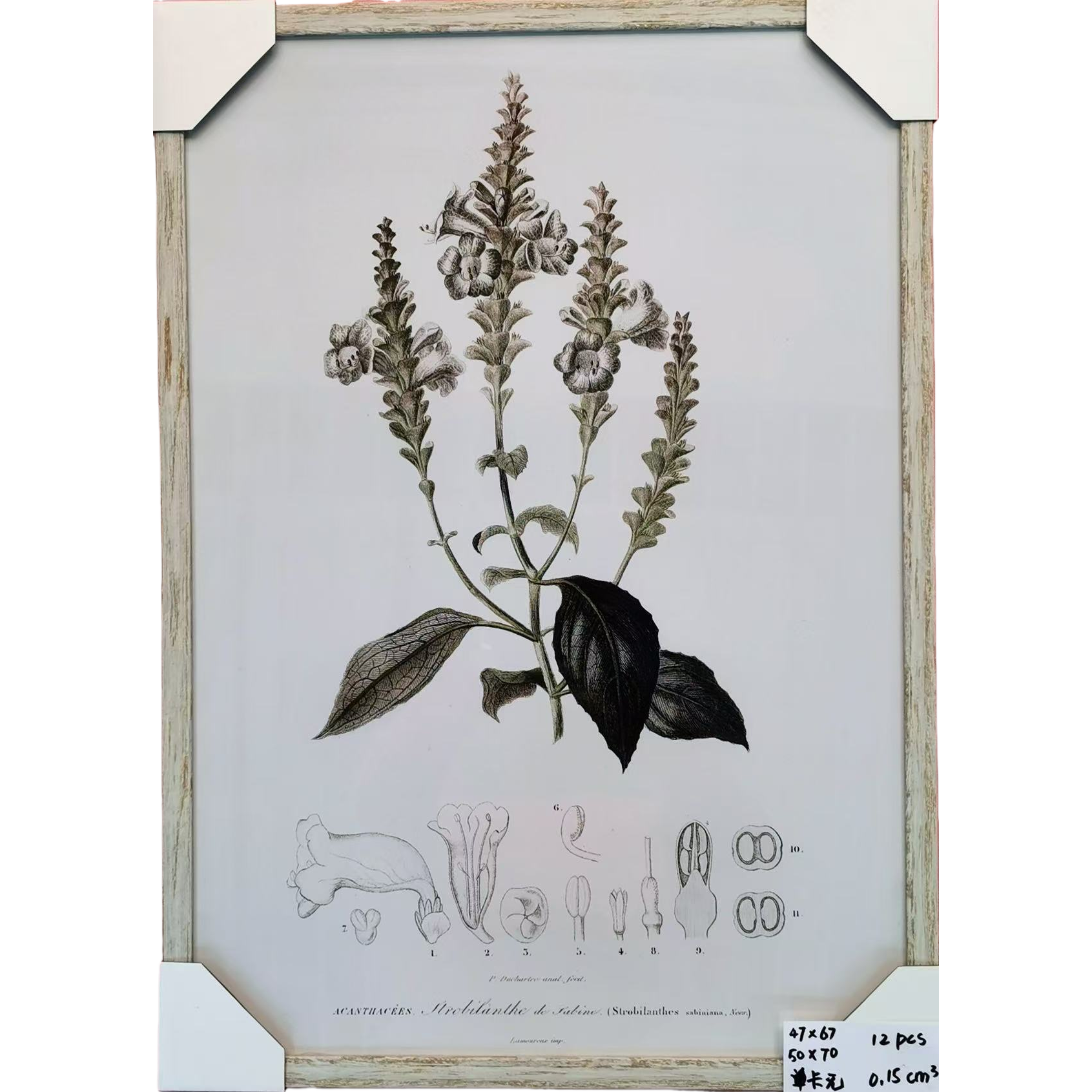装饰画/装饰画穆斯林/挂画/毛毡装饰画/壁画挂画钻白底实物图