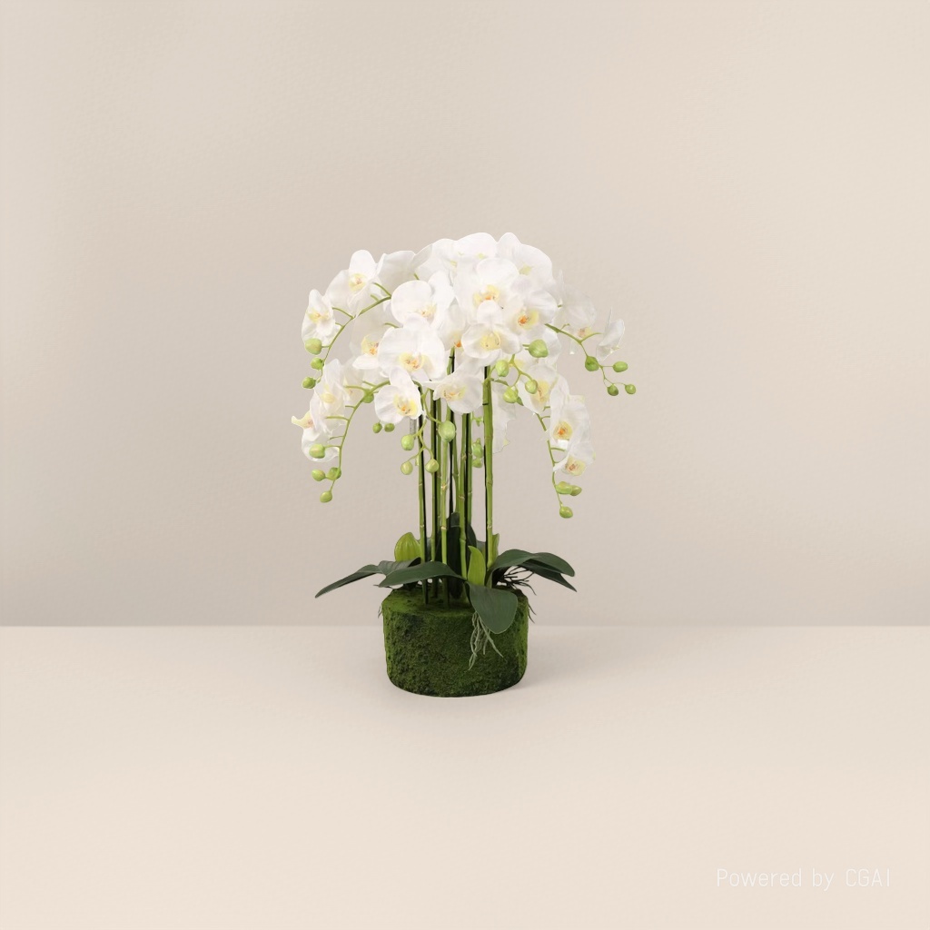 Green plant simulation white Phalaenopsis potted plant, home entrance decoration, lobby scene arrangement potted plant Application Scenario