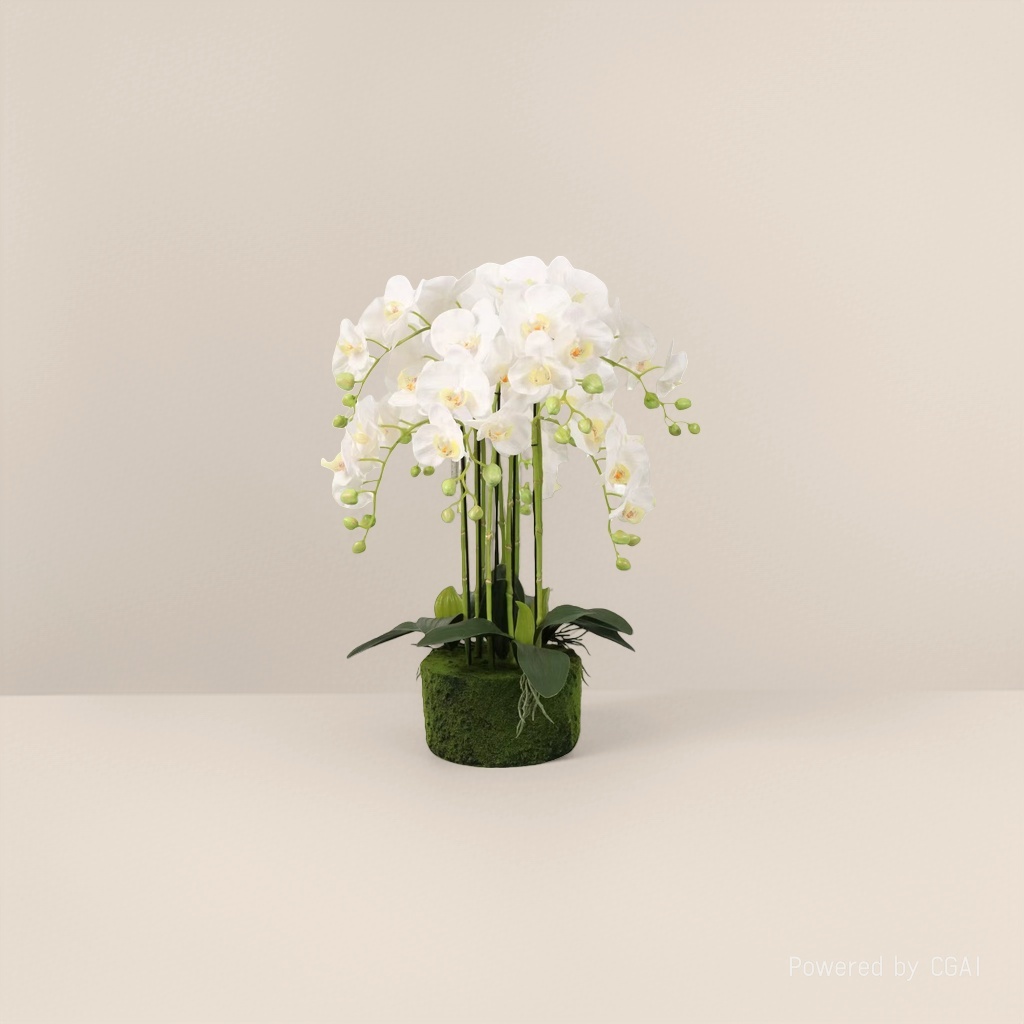 Green plant simulation white Phalaenopsis potted plant, home entrance decoration, lobby scene arrangement potted plant Specification image