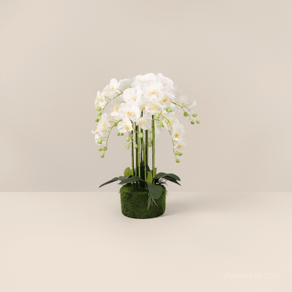 Green plant simulation white Phalaenopsis potted plant, home entrance decoration, lobby scene arrangement potted plant details Picture