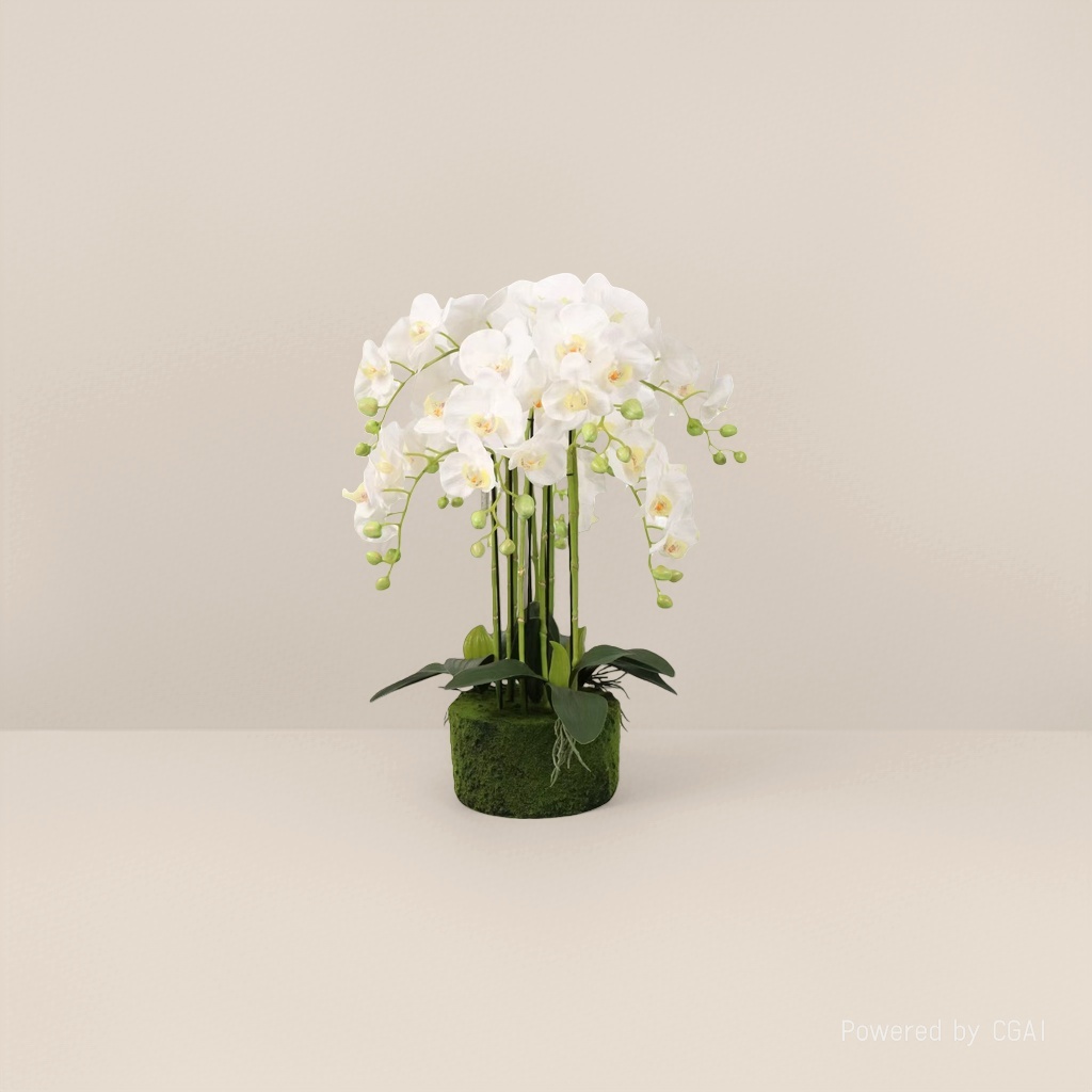 Green plant simulation white Phalaenopsis potted plant, home entrance decoration, lobby scene arrangement potted plant
