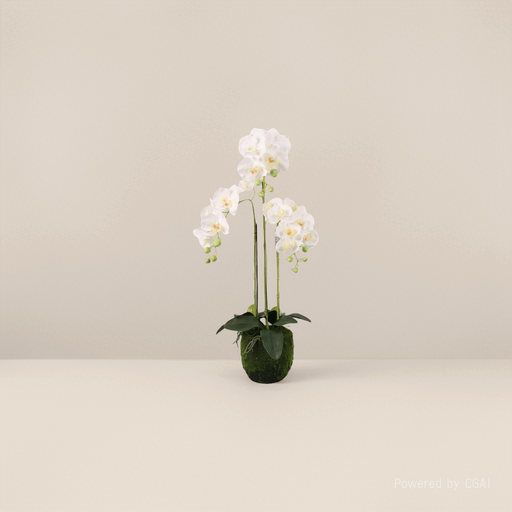 Green plant simulation white Phalaenopsis potted plant, home entrance decoration, lobby scene arrangement potted plant decoration