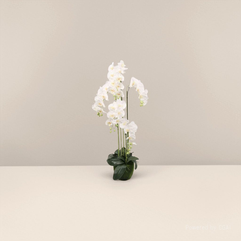 Orchidaceae plants, white orchids, potted plants, artificial green plants, home ornaments, decorative artificial plants Application Scenario