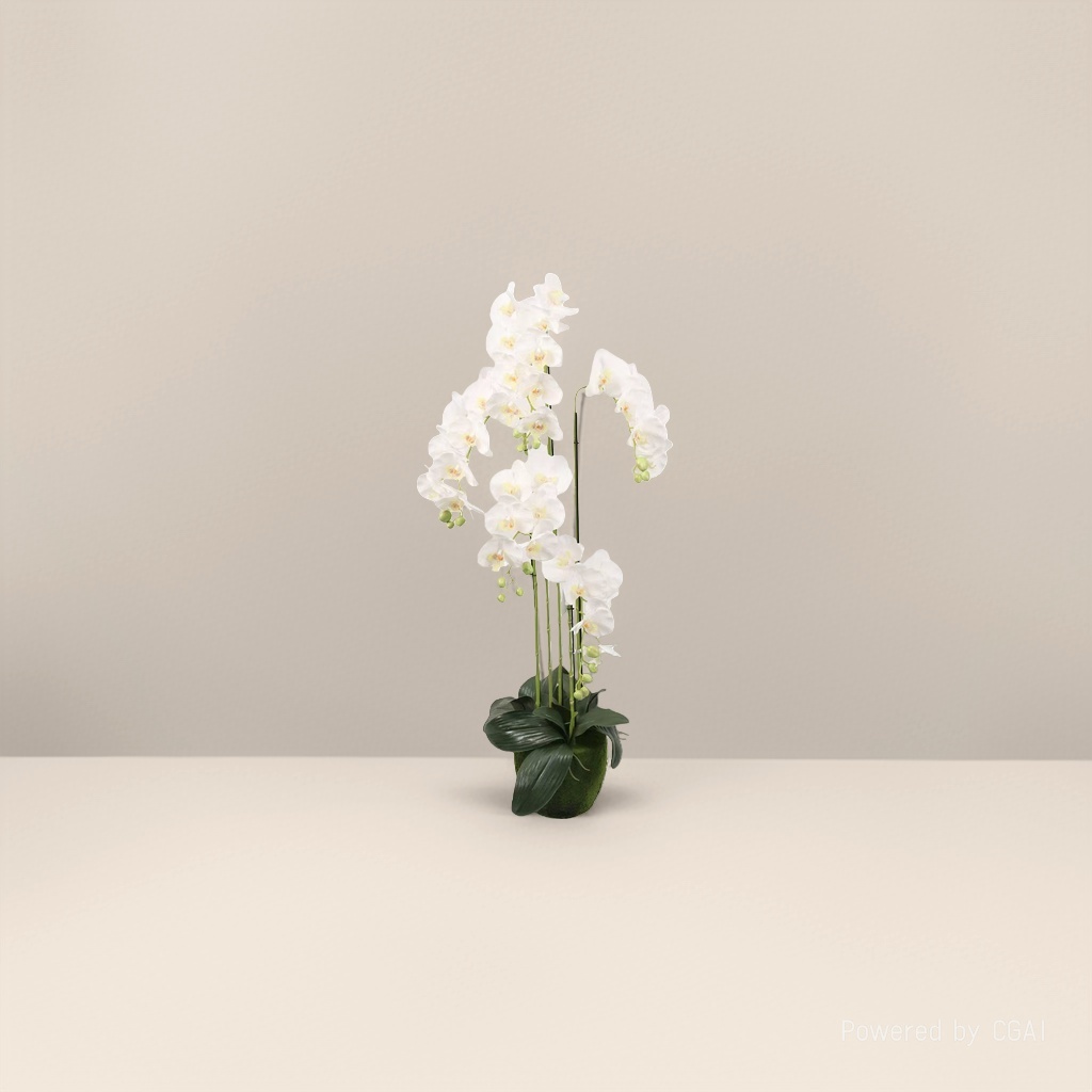 Orchidaceae plants, white orchids, potted plants, artificial green plants, home ornaments, decorative artificial plants Specification image