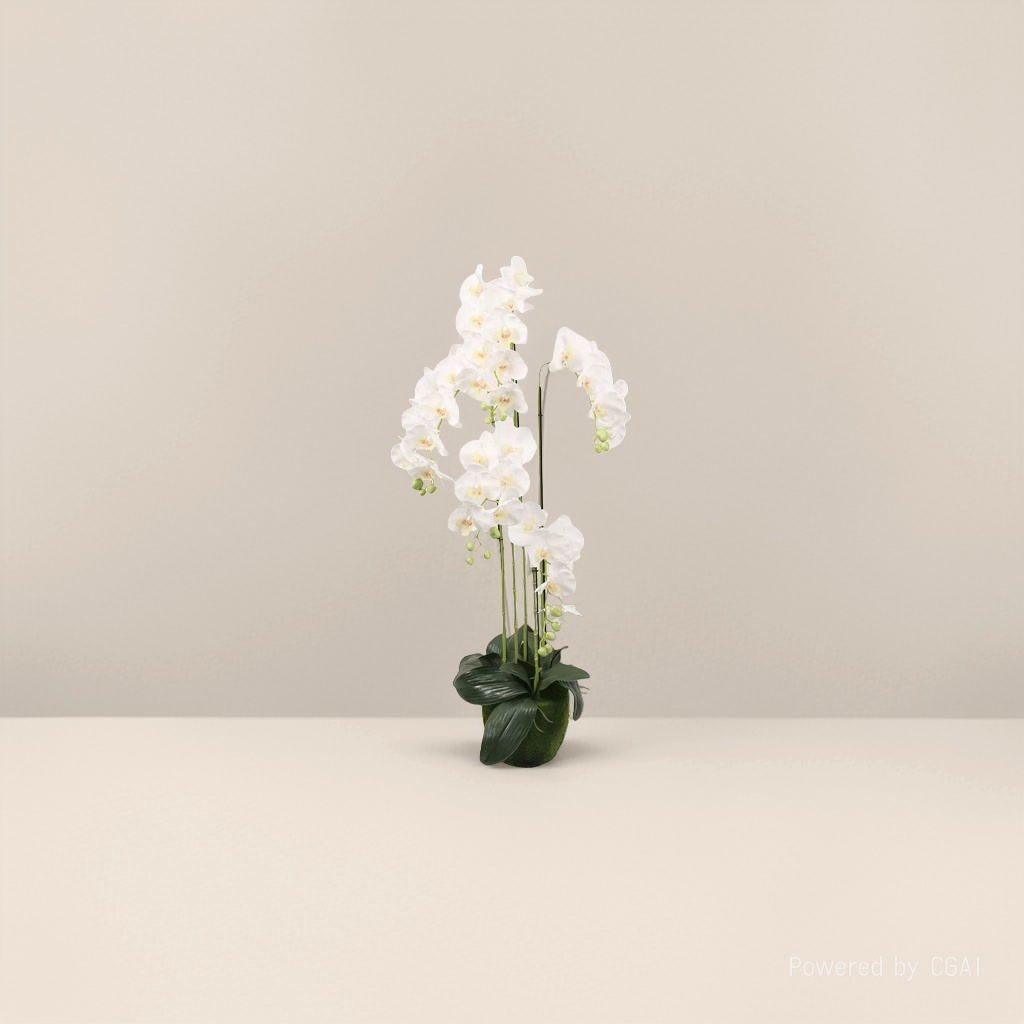 Orchidaceae plants, white orchids, potted plants, artificial green plants, home ornaments, decorative artificial plants