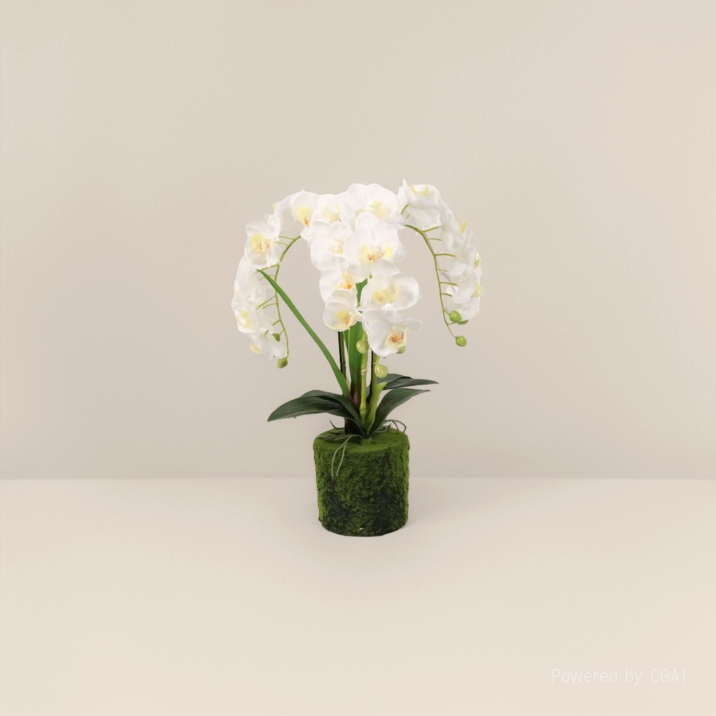 Orchidaceae plants, white orchids, potted plants, artificial green plants, home decorations, artificial plants, small potted plants