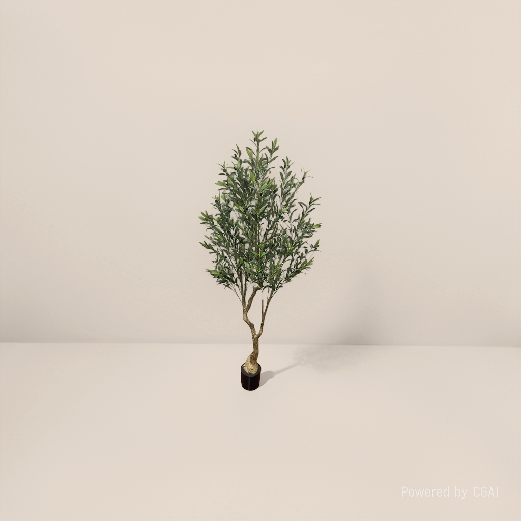 Olive tree potted plants are suitable for outdoor courtyard scene decoration and indoor entrance hall decoration details Picture