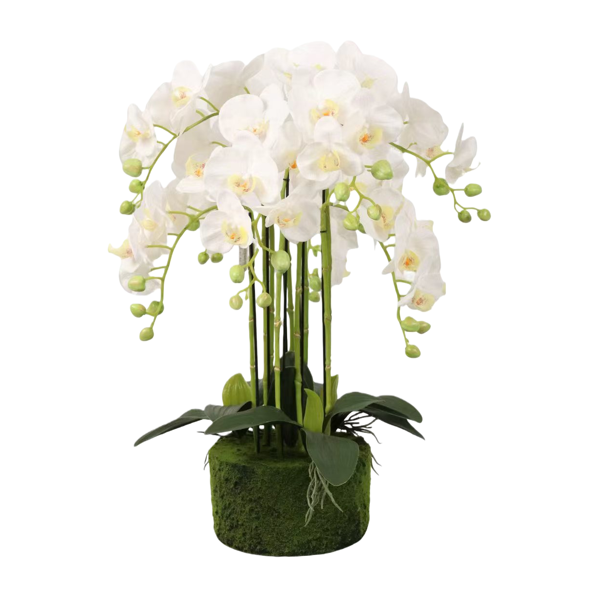 Green plant simulation white Phalaenopsis potted plant, home entrance decoration, lobby scene arrangement potted plant Item Picture