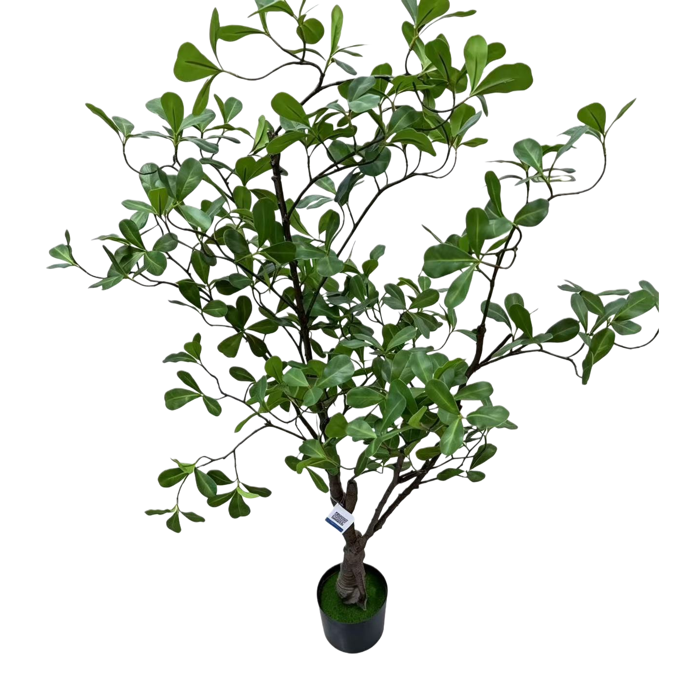 The courtyard decoration features artificial potted plants, and the entrance hall is decorated with artificial green plants and small potted plants Item Picture
