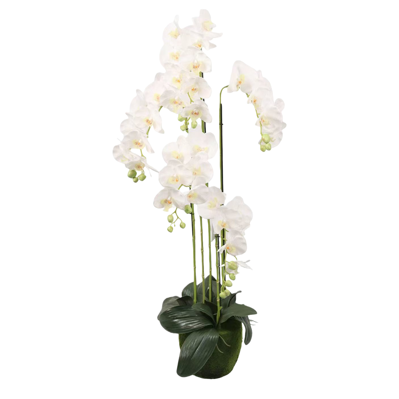 Orchidaceae plants, white orchids, potted plants, artificial green plants, home ornaments, decorative artificial plants Item Picture
