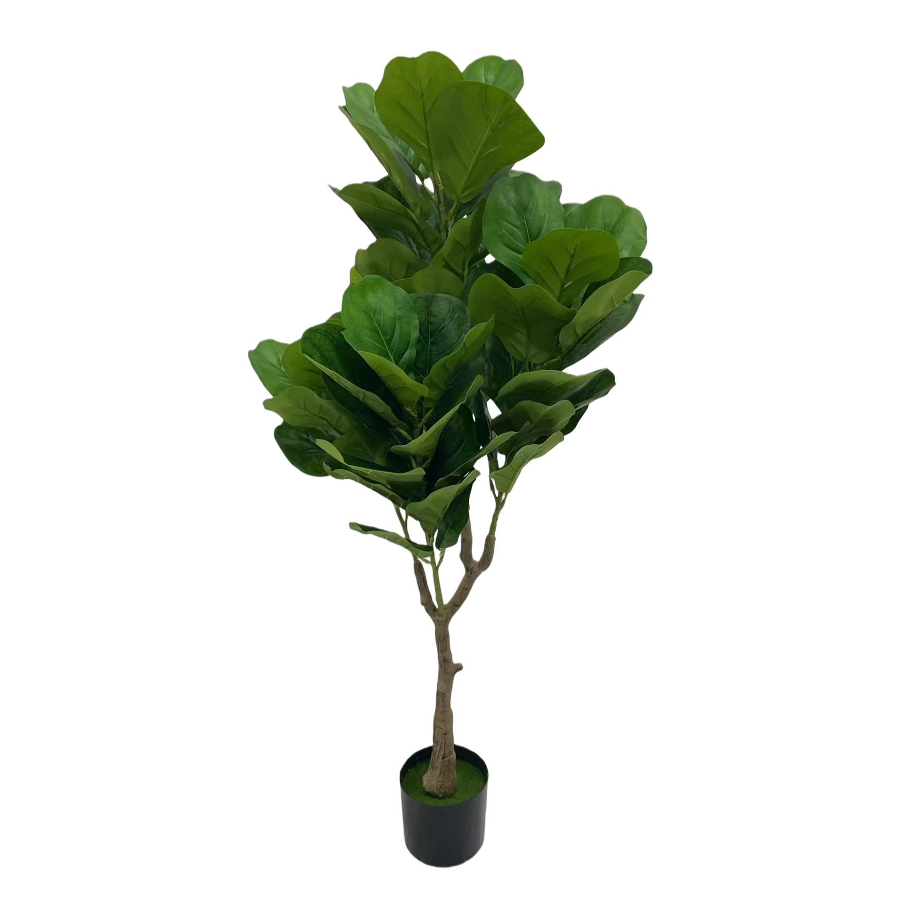 Ficus tree simulation planta maceta decoración interior y exterior decoración patio Item Picture