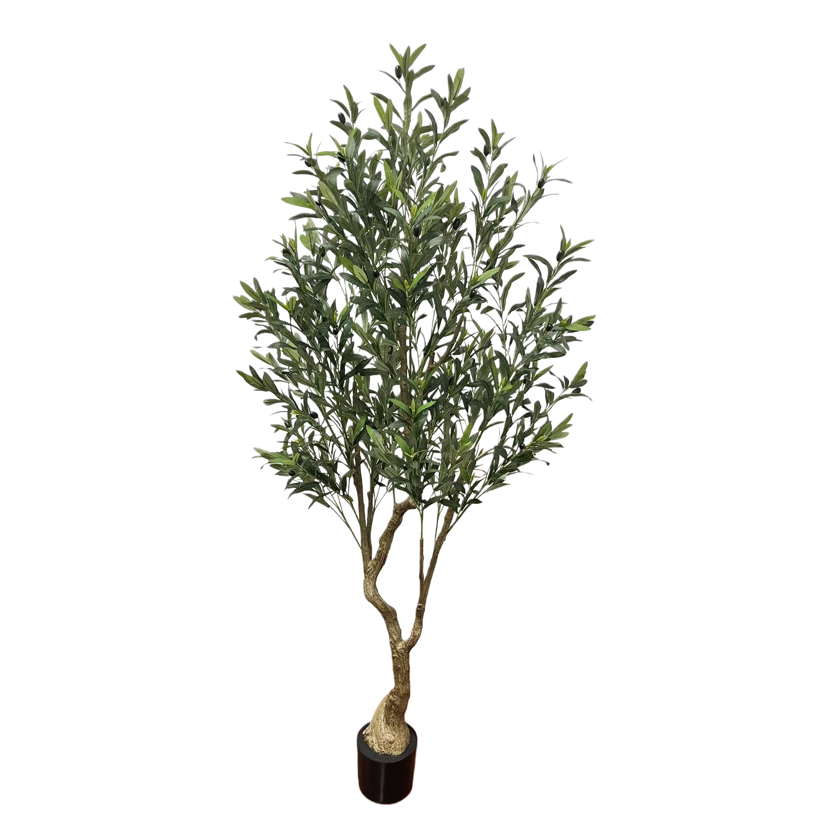 Olive tree potted plants are suitable for outdoor courtyard scene decoration and indoor entrance hall decoration Item Picture