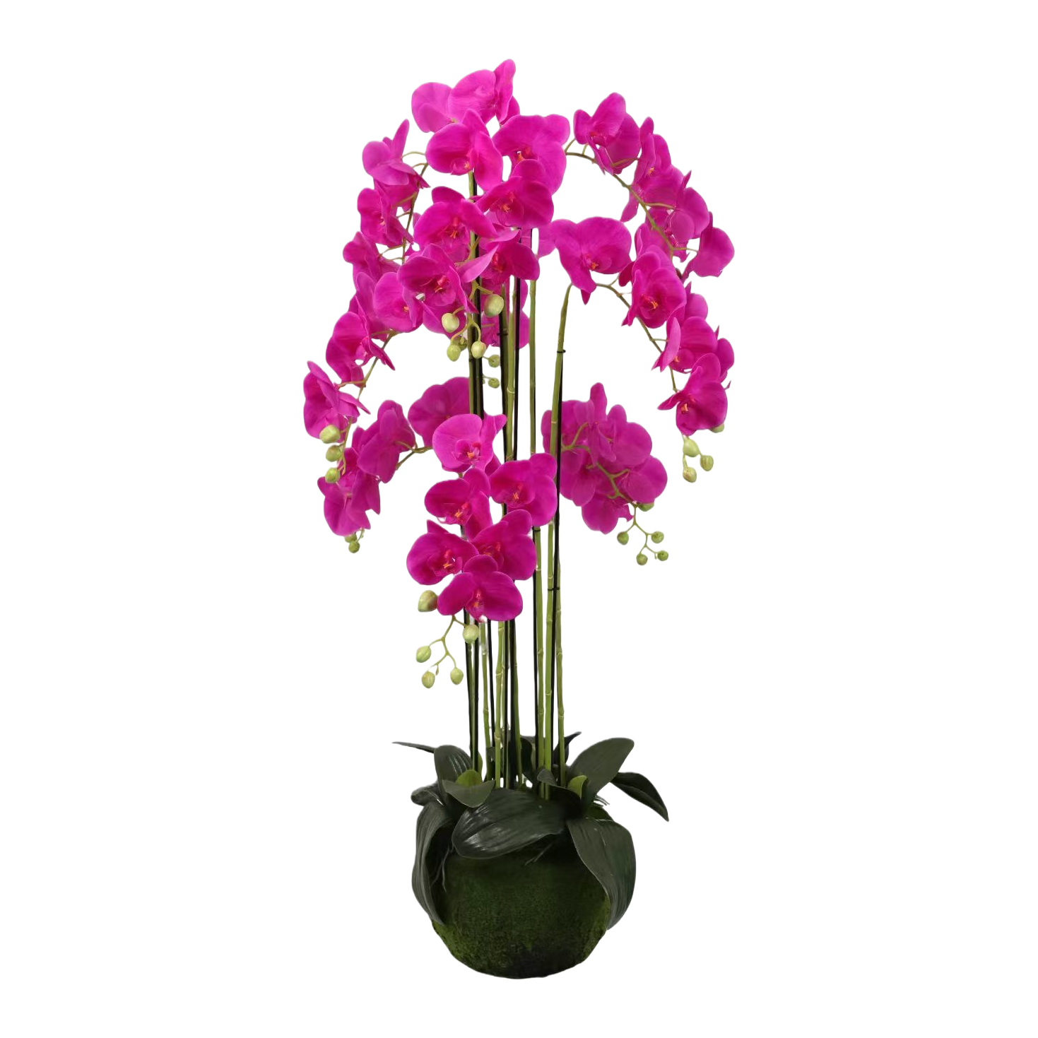 Orchidaceae plant, purple orchid, potted plant, artificial green plant, home decoration, artificial plant, small potted plant Item Picture