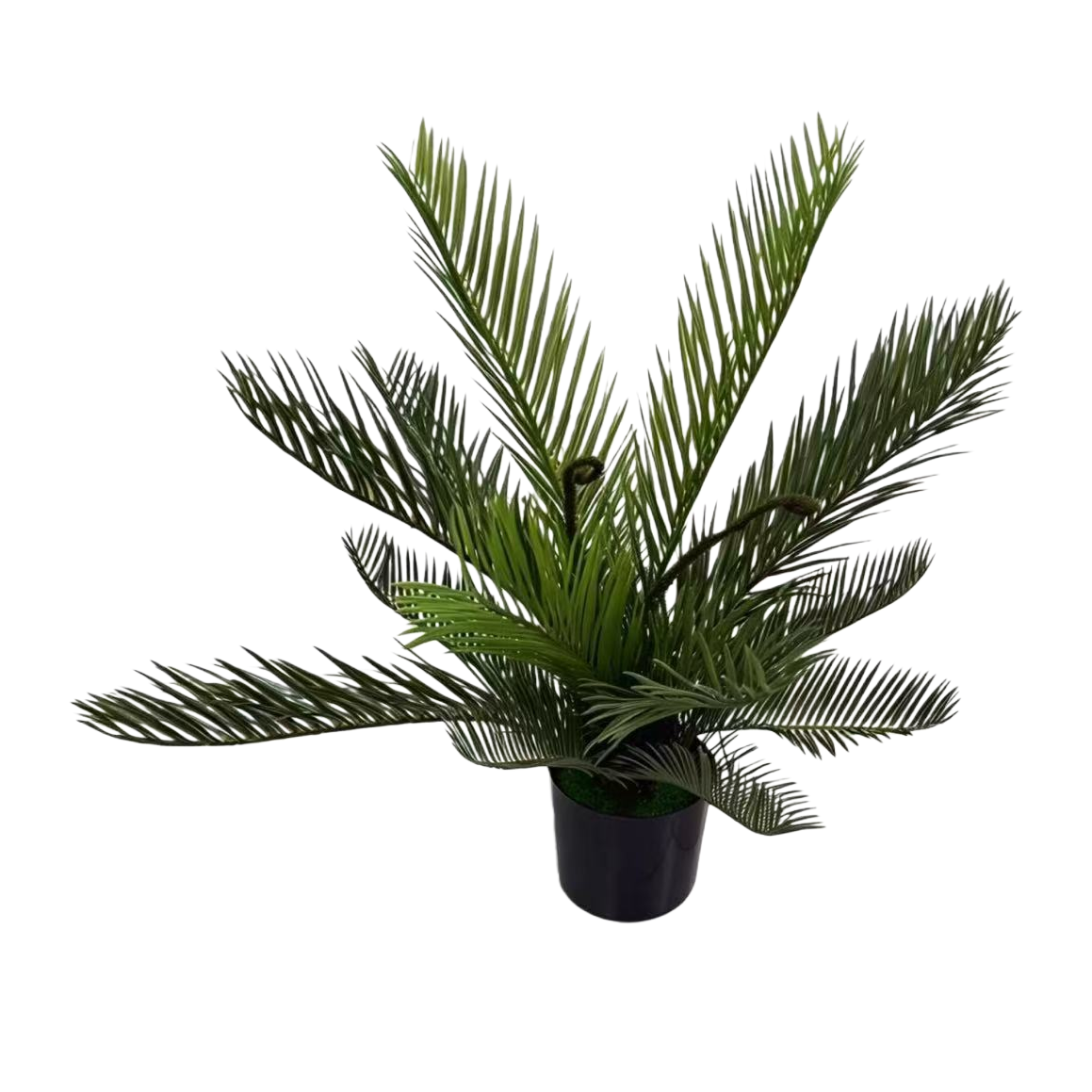 الزخرفة الداخلية والخارجية للزينة الطبيعية Item Picture