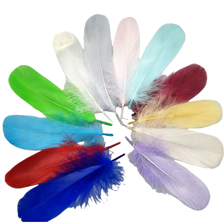 الريشة الملونة المزخرفة الريشة الريشة المثالية ريشة الديي الزيرفة الريشة الطاووس 1 Item Picture