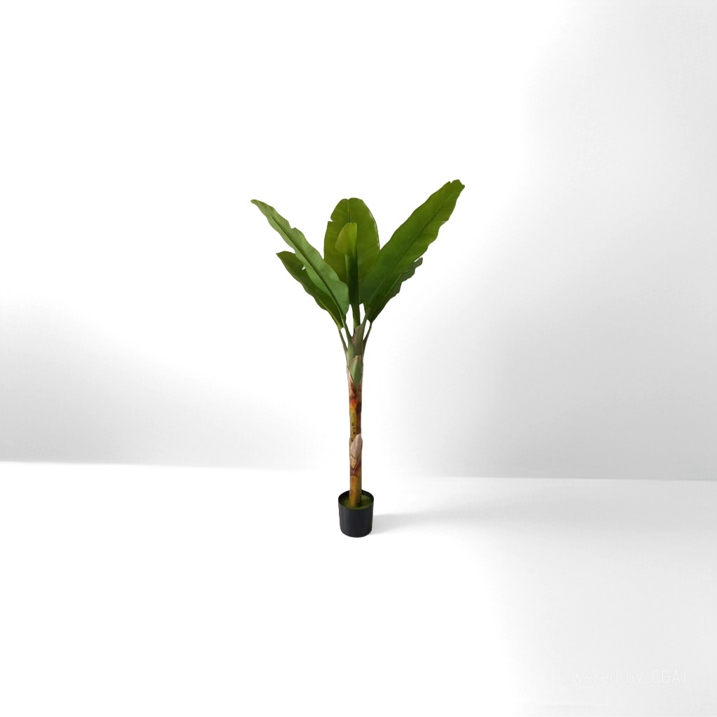 绿色植物盆栽香蕉树薄荷盆栽植物盲盒绿植种子伴手礼