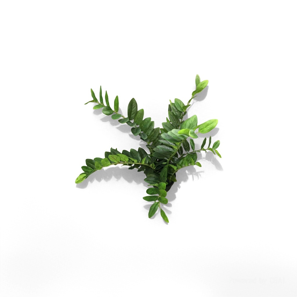 薄荷绿植种子盆栽伴手礼 绿色植物盆栽 植物盲盒