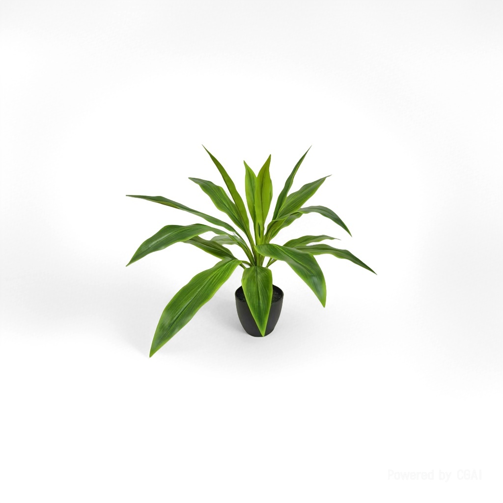 薄荷绿色植物盆栽伴手礼植物盲盒绿植种子