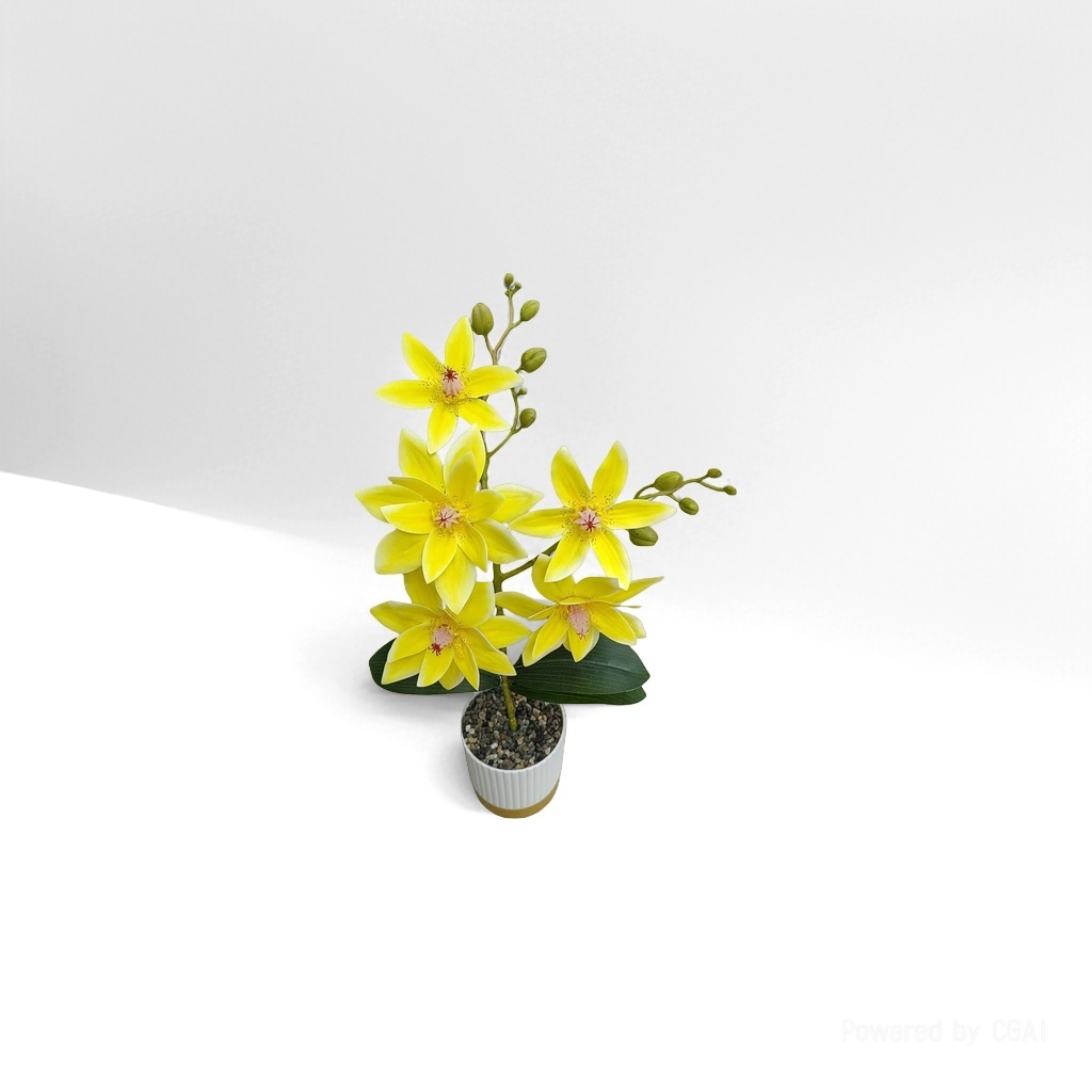 兰科植物实物图