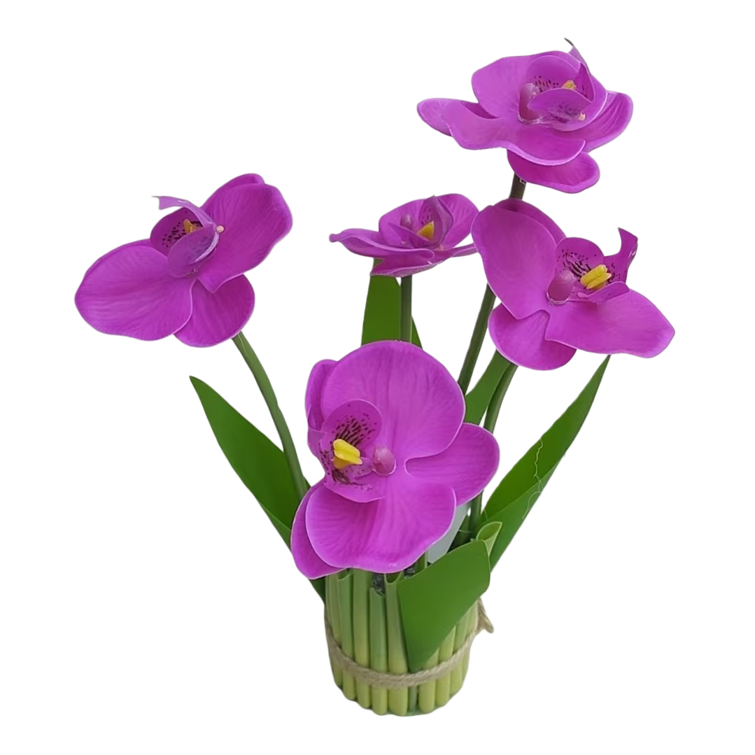 Orchid family plants, purple orchid bouquets, plant blind boxes, small decorative items, green plants, artificial trees, golden diamond hydroponic flowers, mint potted plants Item Picture