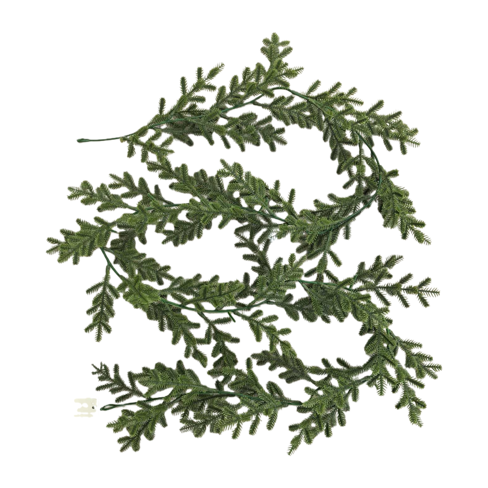 玫瑰花藤条/双瓣藤条/圣诞藤条/长墙花/绿植藤条白底实物图