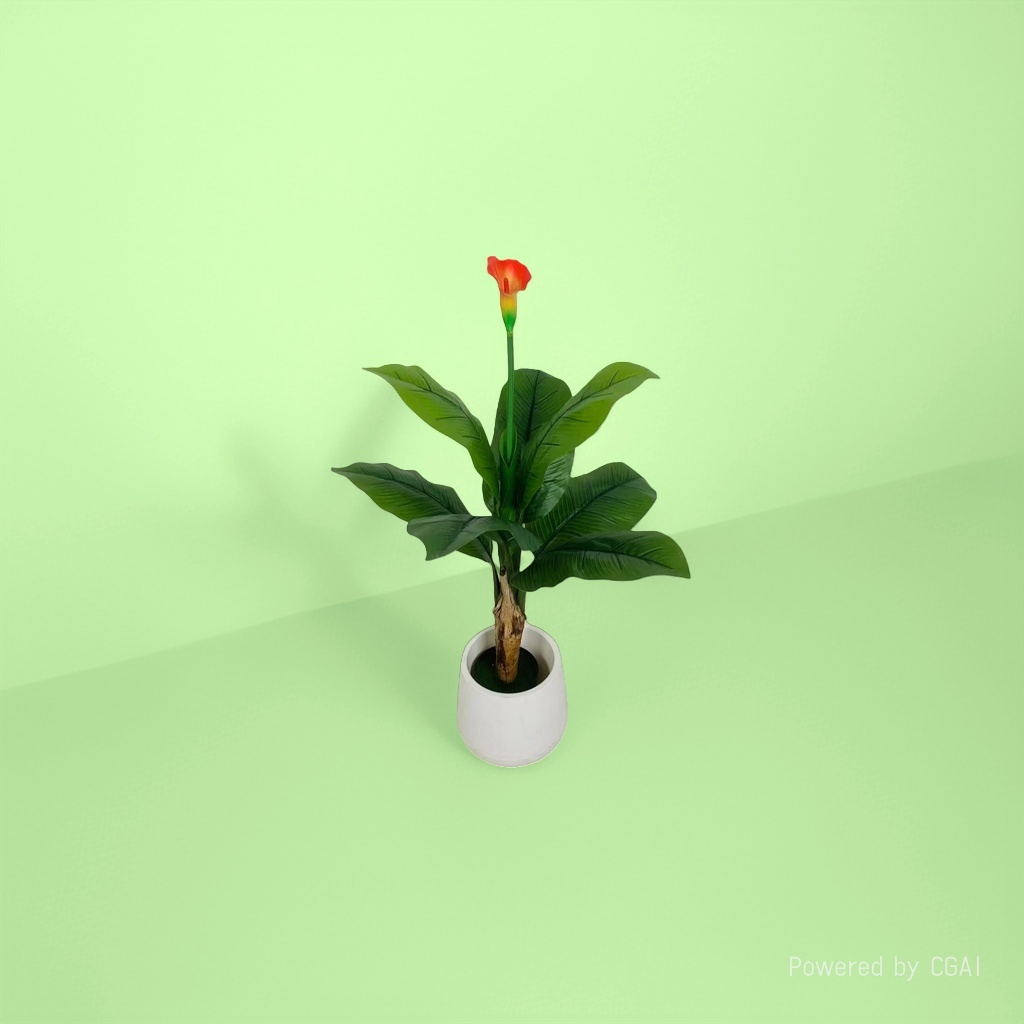 彩色马蹄莲盆栽植物盲盒绿植种子薄荷盆栽绿植盆栽伴手礼
