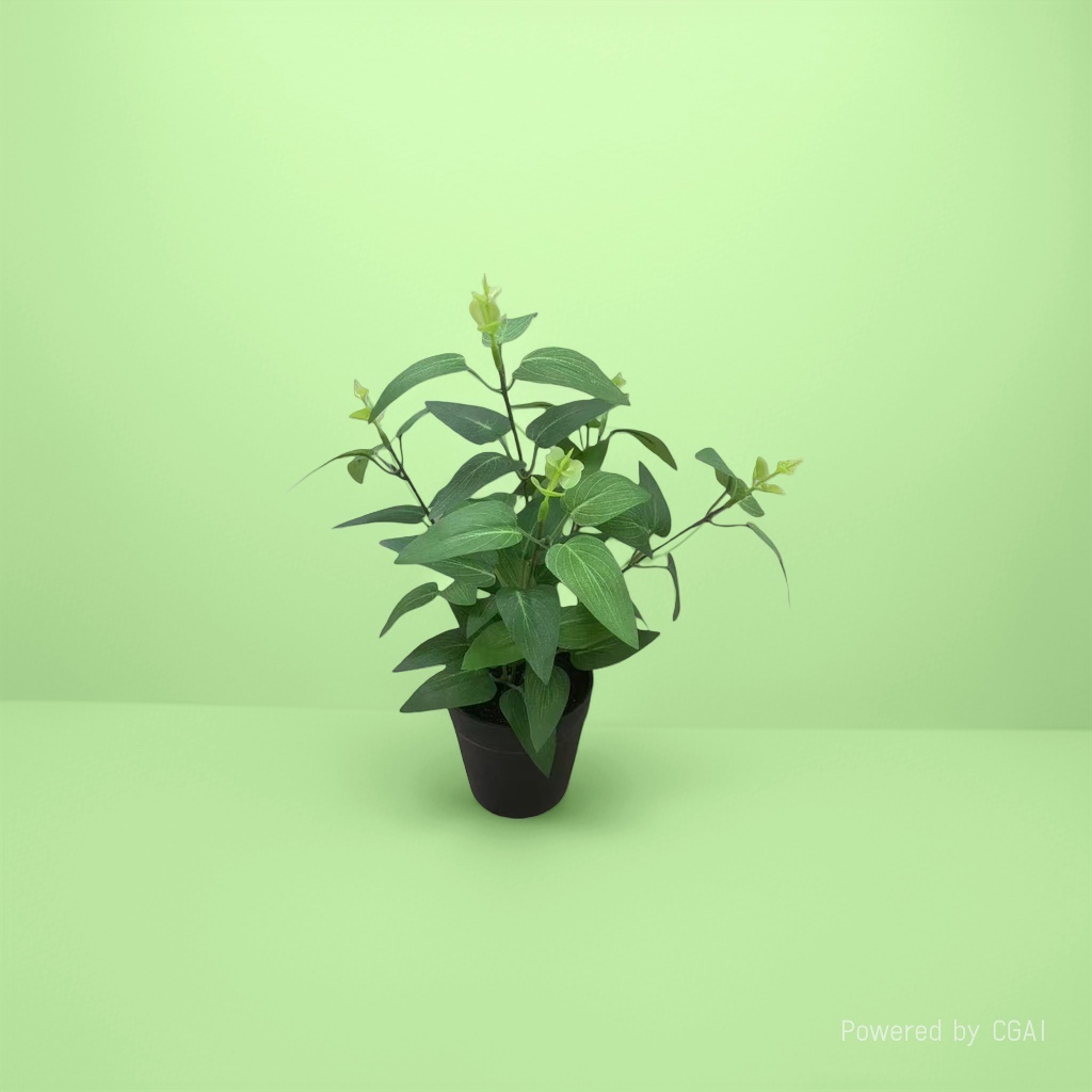 Green potted plants, mint potted green plant seeds, blind box potted plant souvenirs