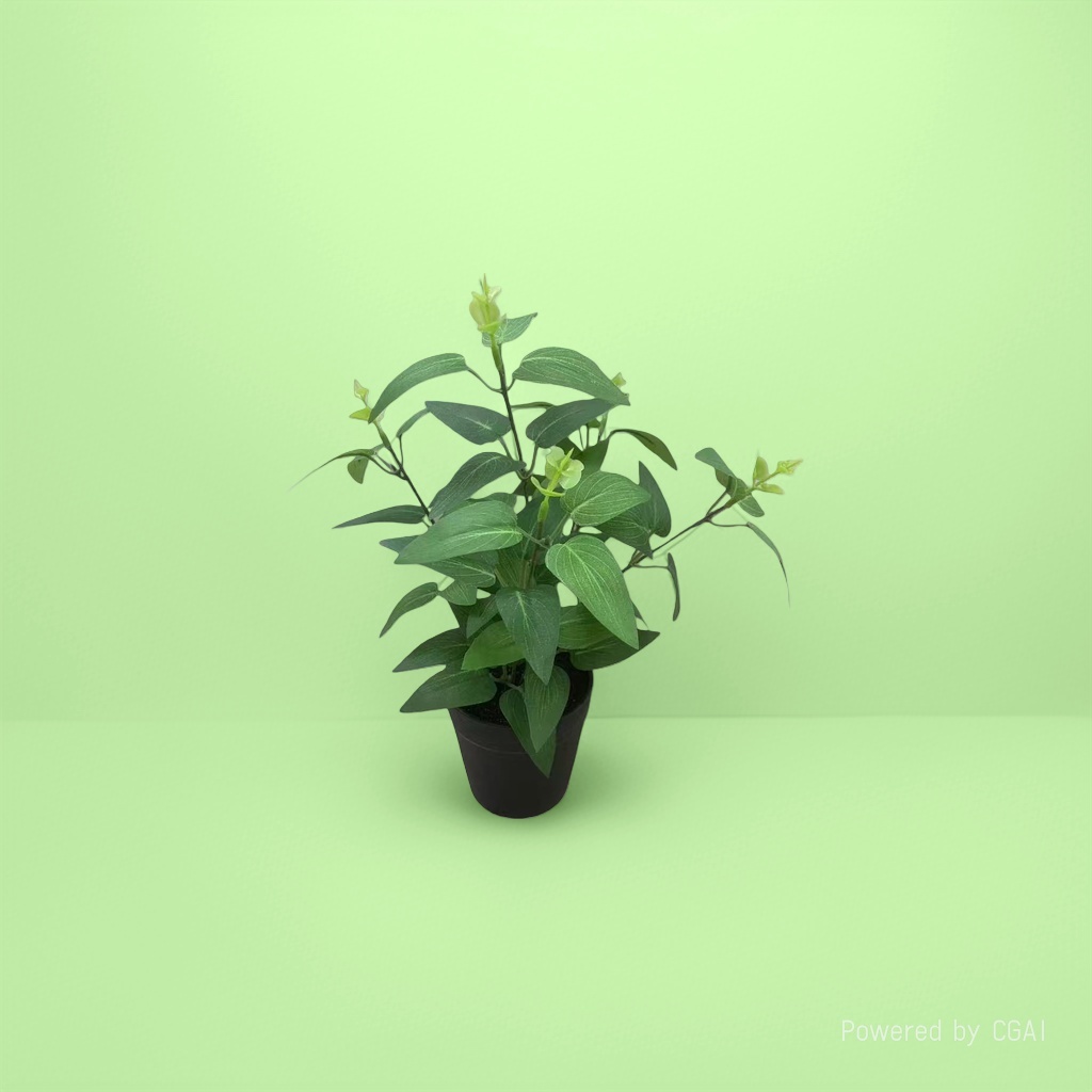 Green potted plants, mint potted green plant seeds, blind box potted plant souvenirs Specification image