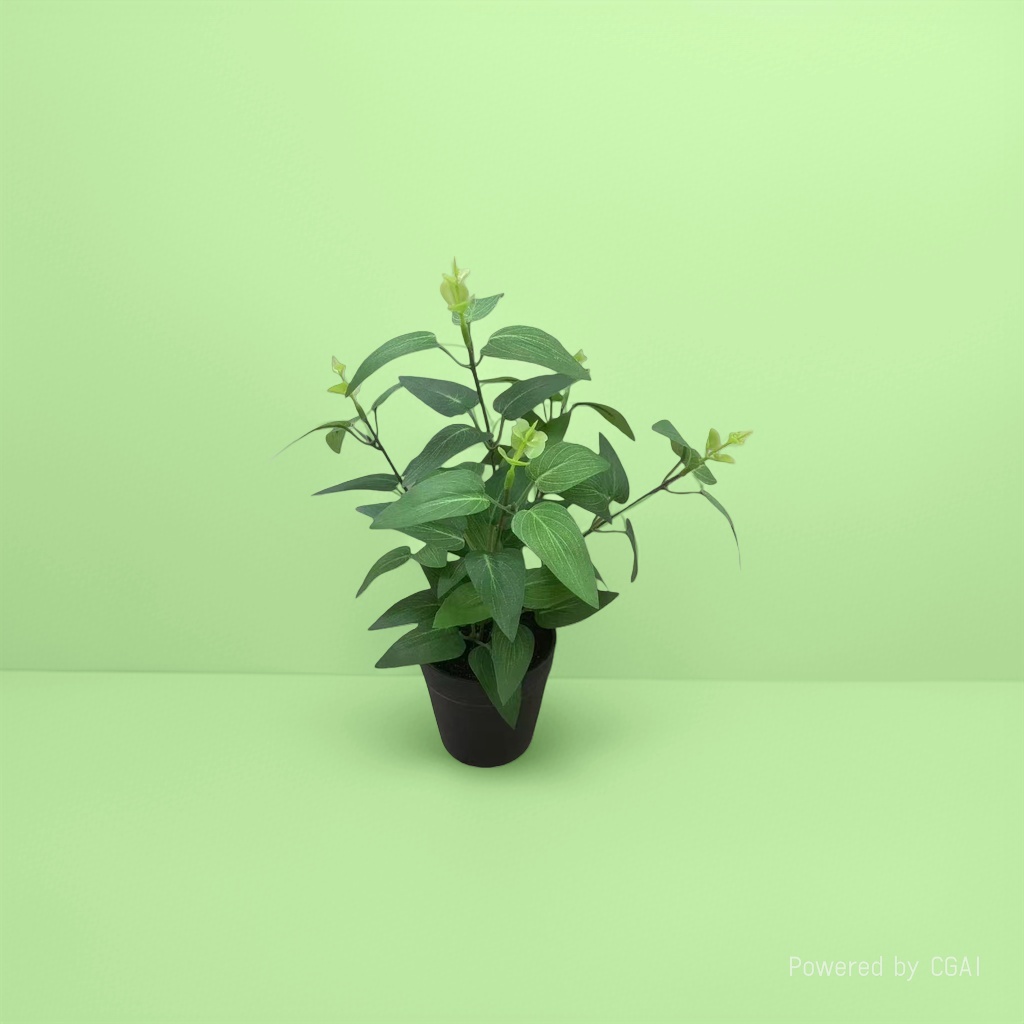 Green potted plants, mint potted green plant seeds, blind box potted plant souvenirs details Picture