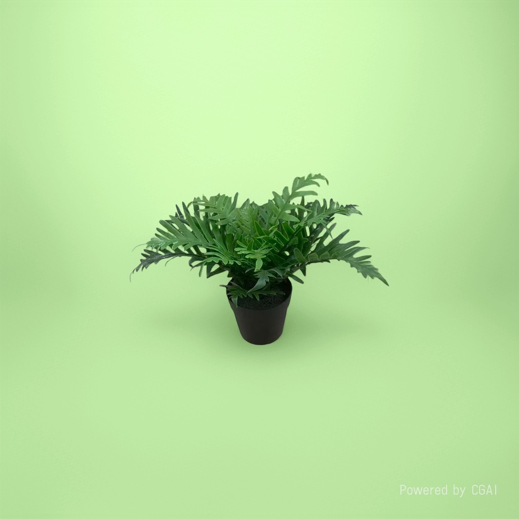 Orchid plant green fern potted plant blind box small decorative item, mint planting blind box