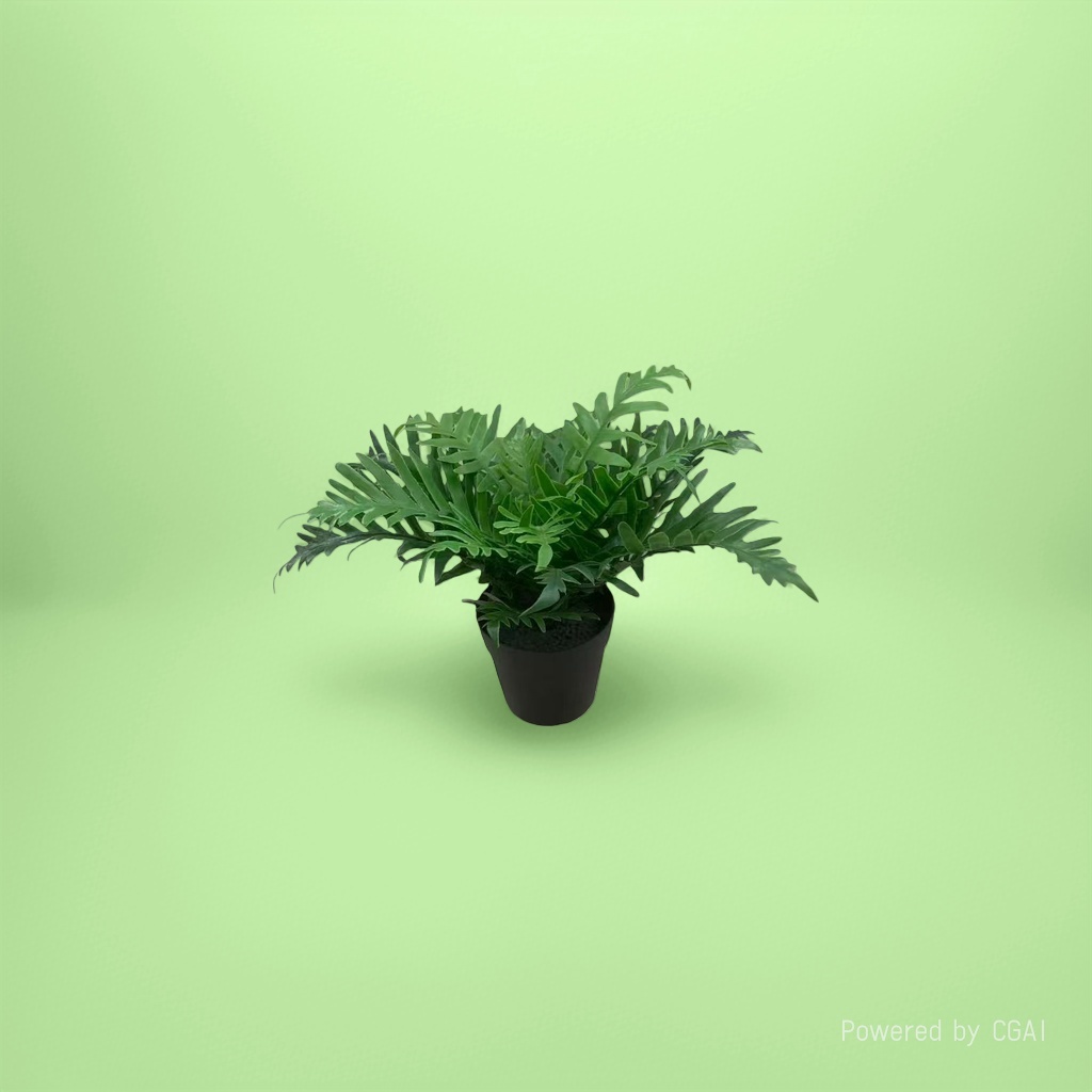 Orchid plant green fern potted plant blind box small decorative item, mint planting blind box Application Scenario