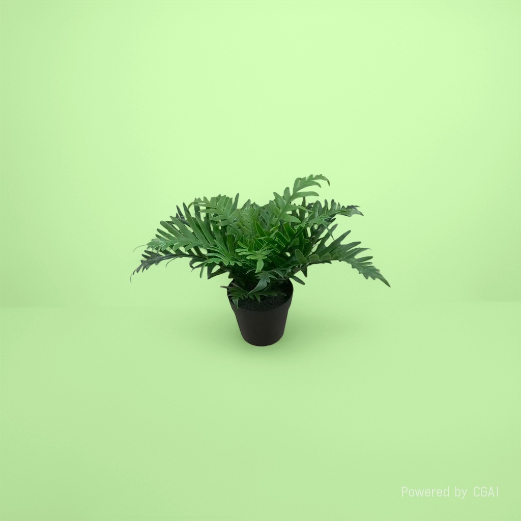 Orchid plant green fern potted plant blind box small decorative item, mint planting blind box details Picture