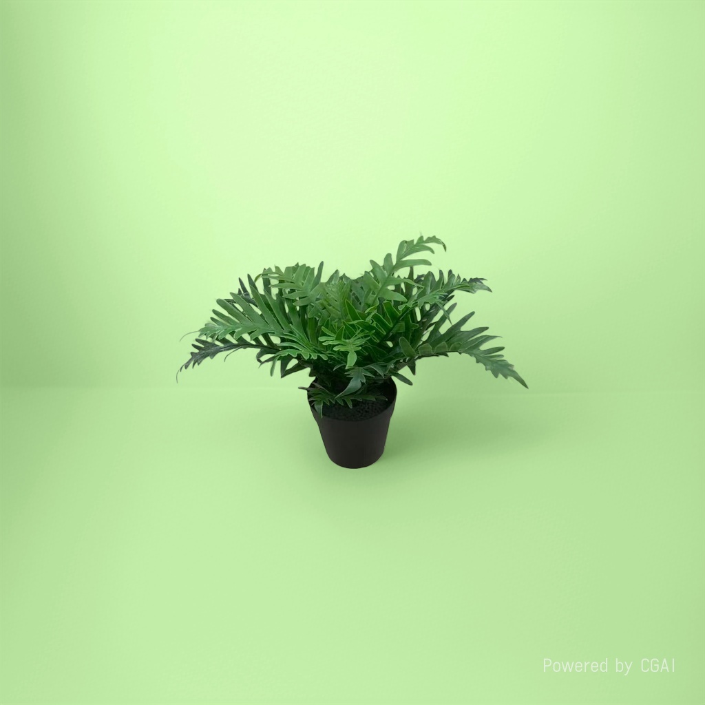 Orchid plant green fern potted plant blind box small decorative item, mint planting blind box Specification image