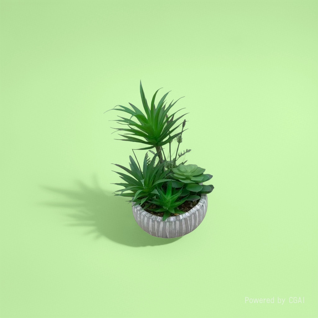 Green succulent plant potted plants, mint green plant seeds, blind box potted plant souvenirs Specification image