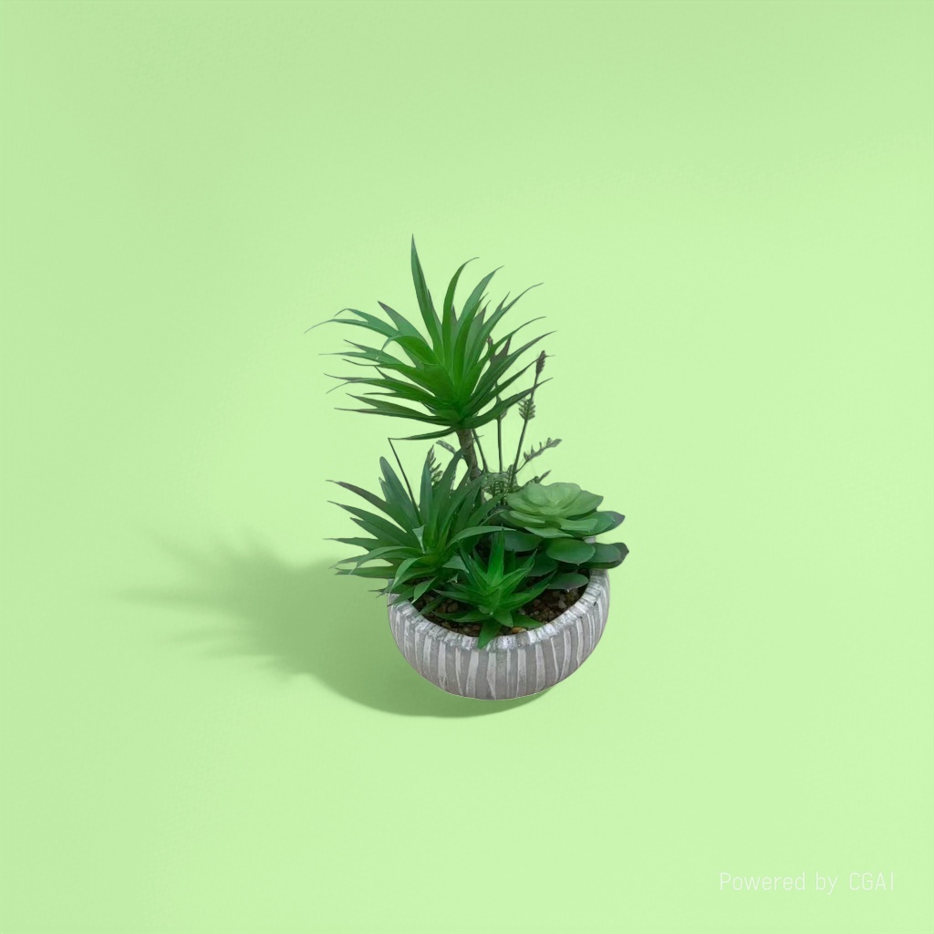 Green succulent plant potted plants, mint green plant seeds, blind box potted plant souvenirs Application Scenario