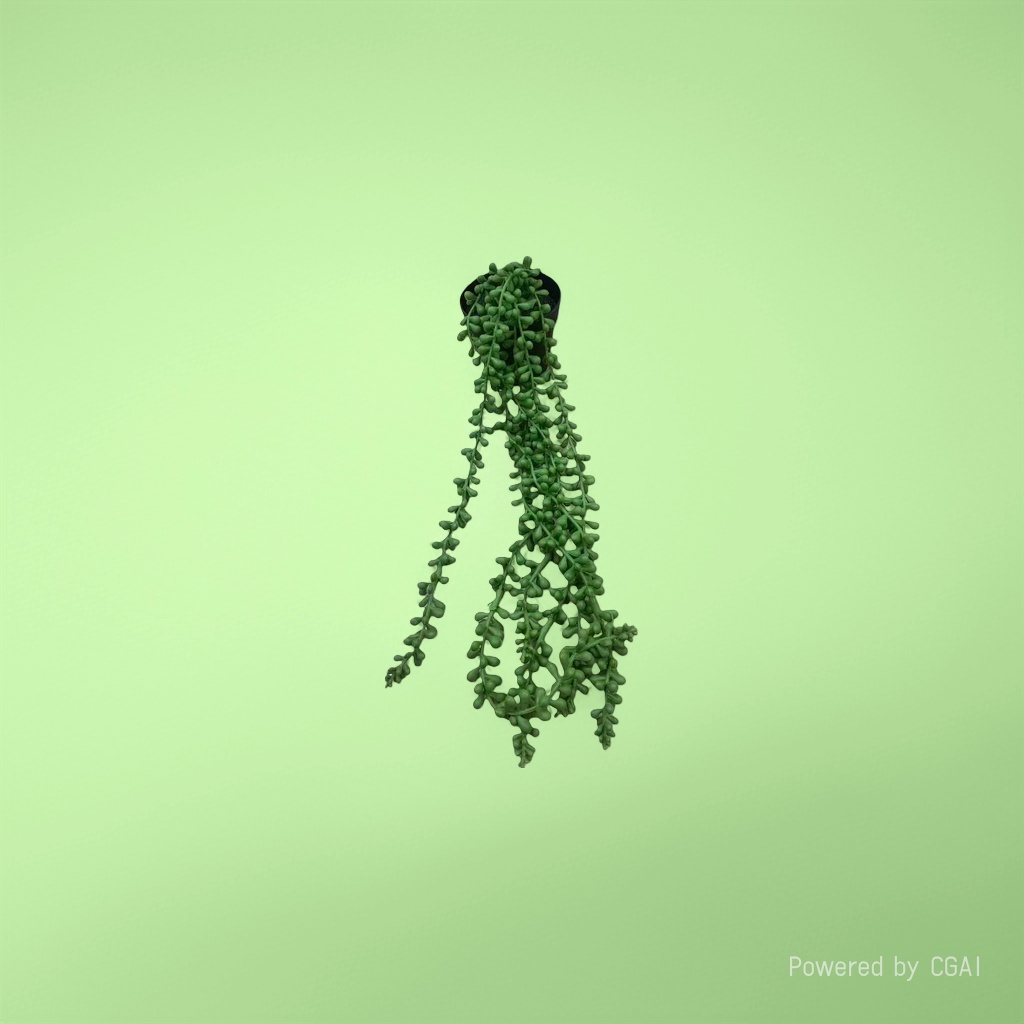 Mint green plant potted plant with seeds, green spotted leaf plant, indoor desktop souvenir 105338528