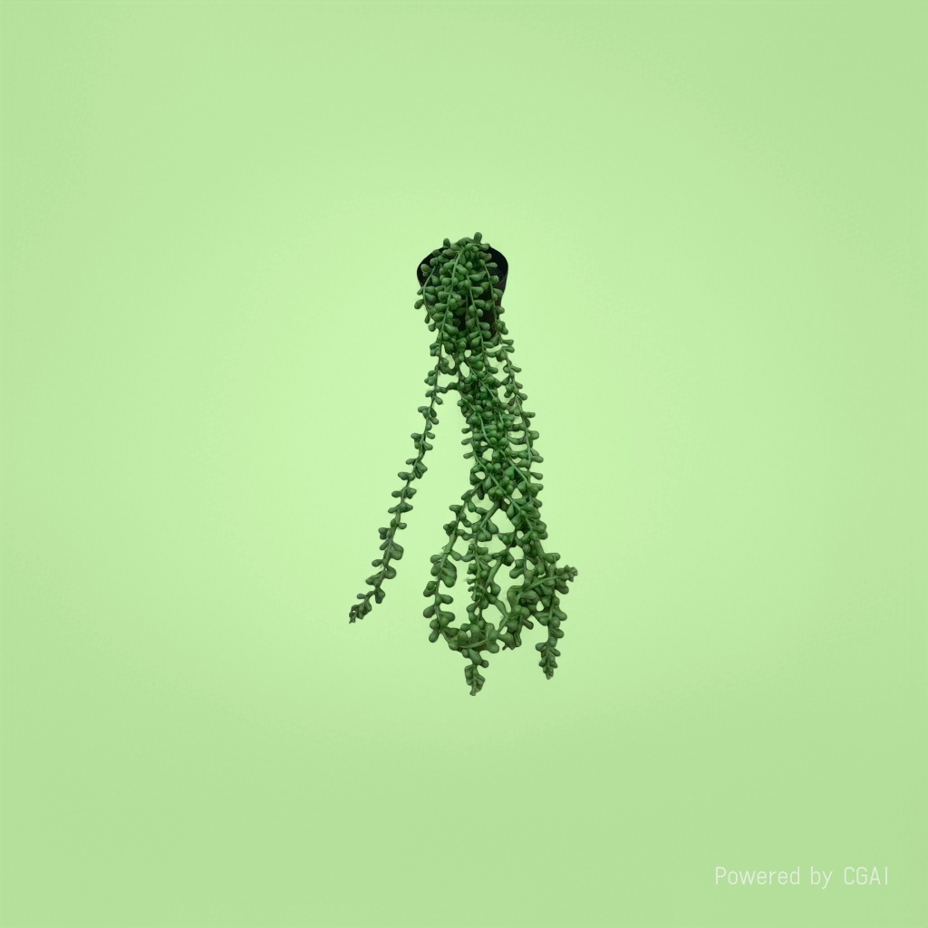 Mint green plant potted plant with seeds, green spotted leaf plant, indoor desktop souvenir 105338528 Application Scenario