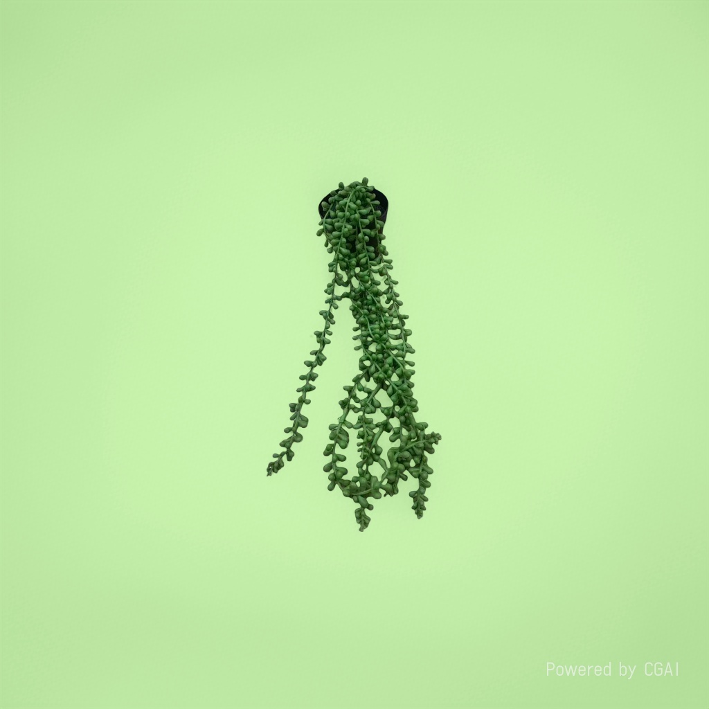 Mint green plant potted plant with seeds, green spotted leaf plant, indoor desktop souvenir 105338528 details Picture