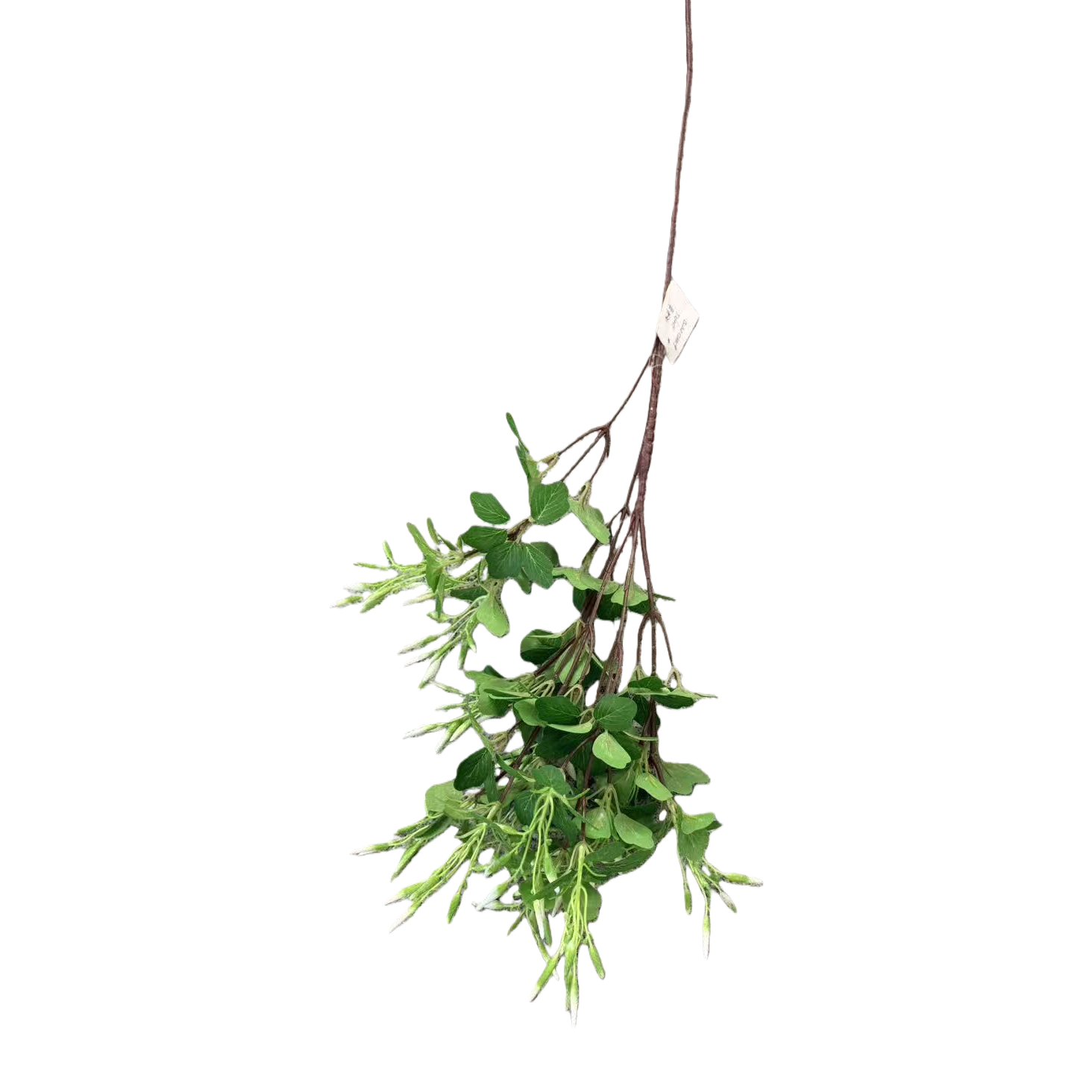 Artificial eucalyptus green branches, leaves, flower stems, artificial trees, fruit slices, decorative artificial flower trees Item Picture