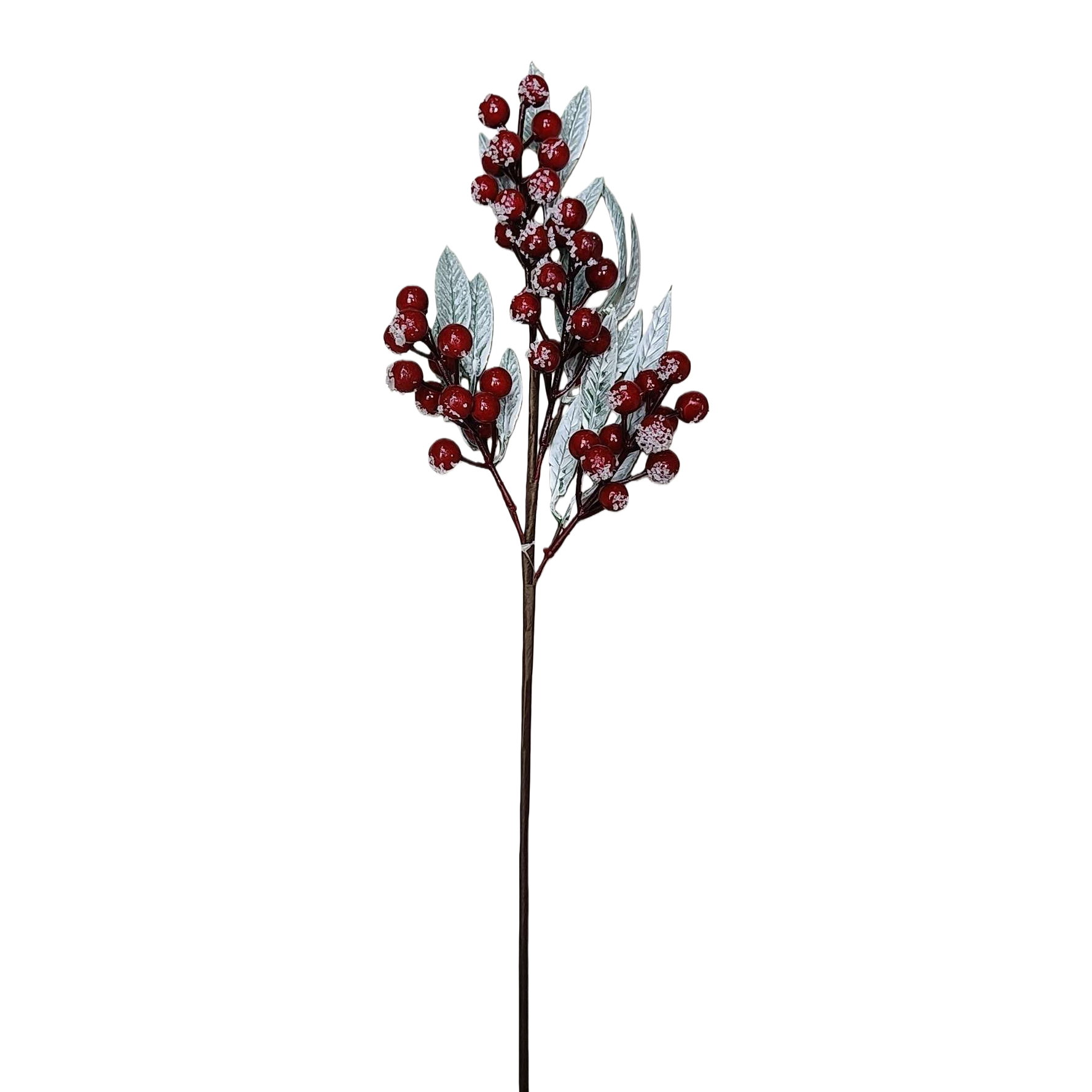 مزخرفة التوت الاحمر بأغصان عيد الميلاد Item Picture