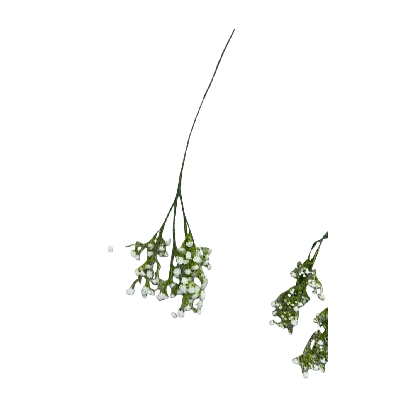 White small plastic artificial flower foam artificial flower light strip flower branch Item Picture