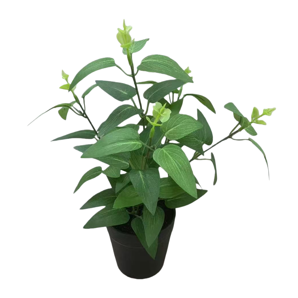 Green potted plants, mint potted green plant seeds, blind box potted plant souvenirs Item Picture