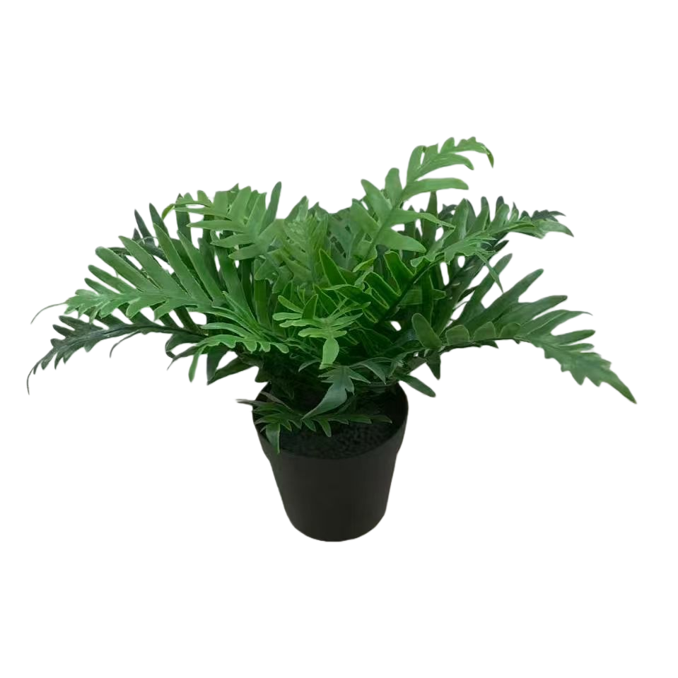 Orchid plant green fern potted plant blind box small decorative item, mint planting blind box Item Picture
