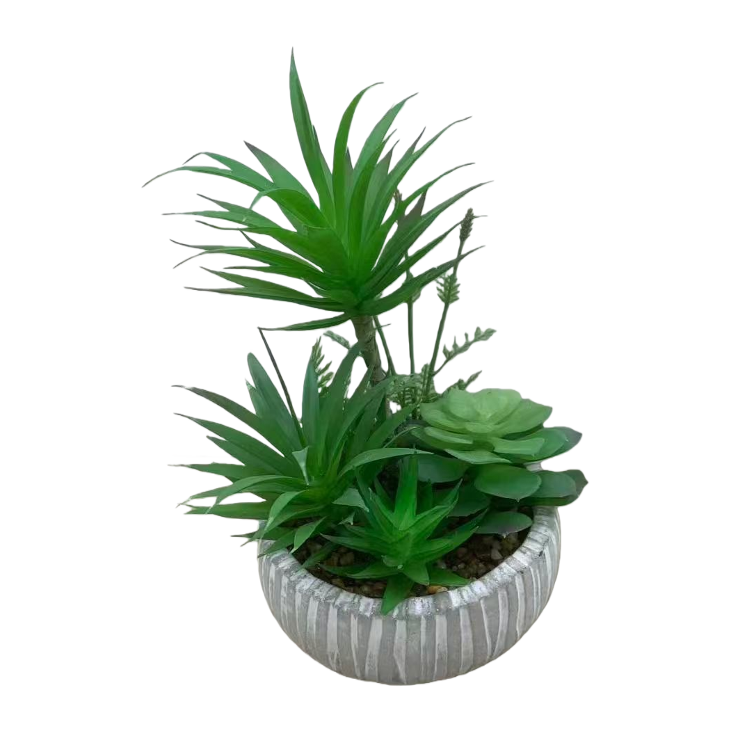 Green succulent plant potted plants, mint green plant seeds, blind box potted plant souvenirs Item Picture