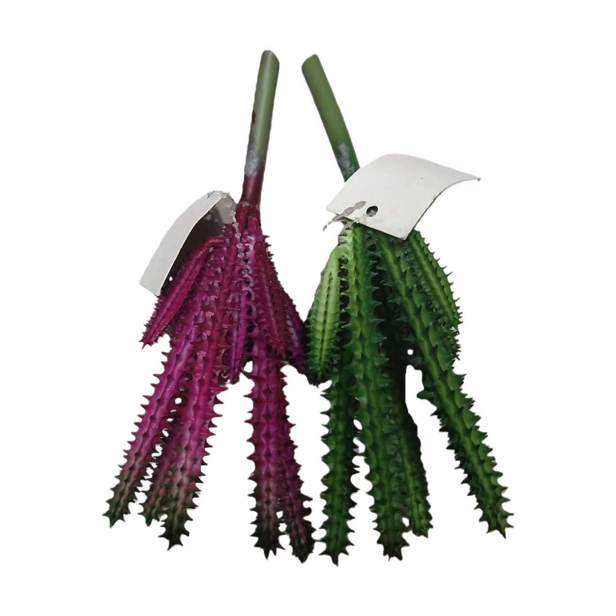 Colorful artificial cactus branches, artificial myrtle micro-landscape plant blind box, artificial flowers Item Picture